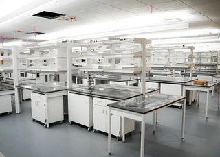 Job Highlight: Cedars Blue Lab